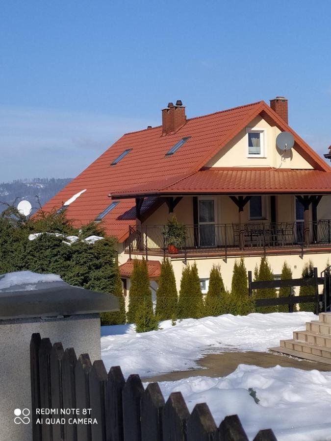 Lądek-ZdrójApartament Radochow 138Gアパートメント エクステリア 写真